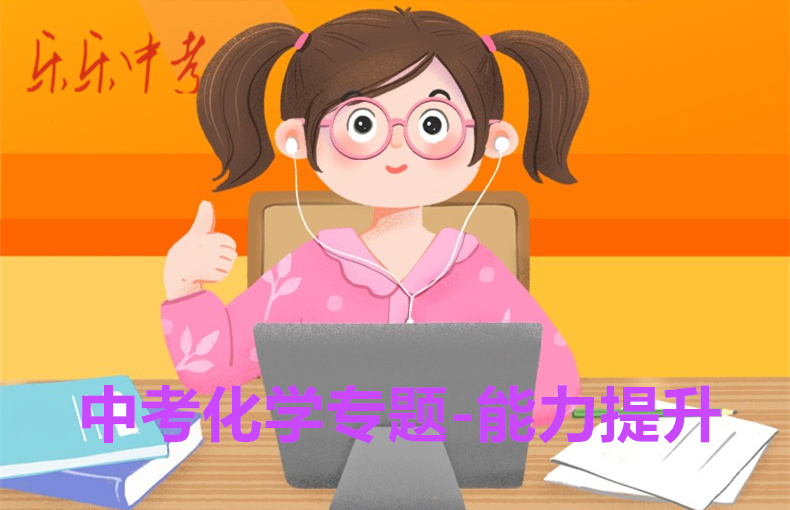 中考化学专题-能力提升